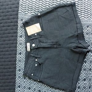 NWT Madewell High Rise Denim Shorts- curvy
